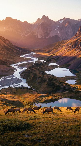 《地球脉动》高清纪录片视频海报